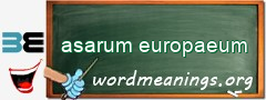 WordMeaning blackboard for asarum europaeum